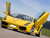 Вертикални врати / LSD / Lamborghini Gallardo 03- Coupe, Spyder[50011001]